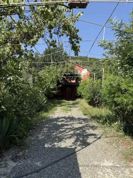 https://static.ss.ge/20260911/8_ac1428a3-f9ed-4c27-a450-c7fa4c6e42ff_Thumb.jpg