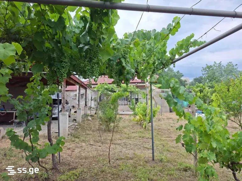5 Room Private House For Sale view 2