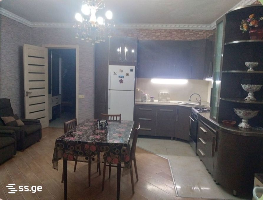 2 Room Apartment For Rent In Zugdidi view 15
