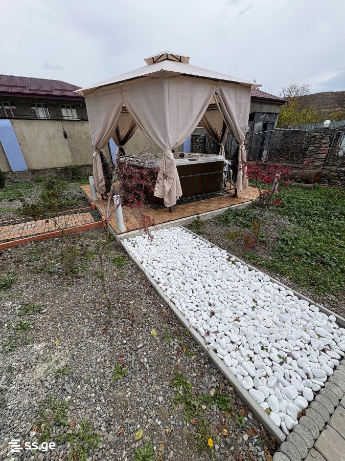 5 Room Private House Daily Rent. Tianeti view 9