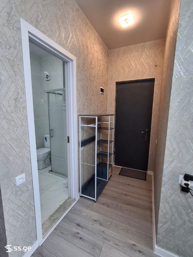 3 Room Flat For Rent. Rustavi view 6
