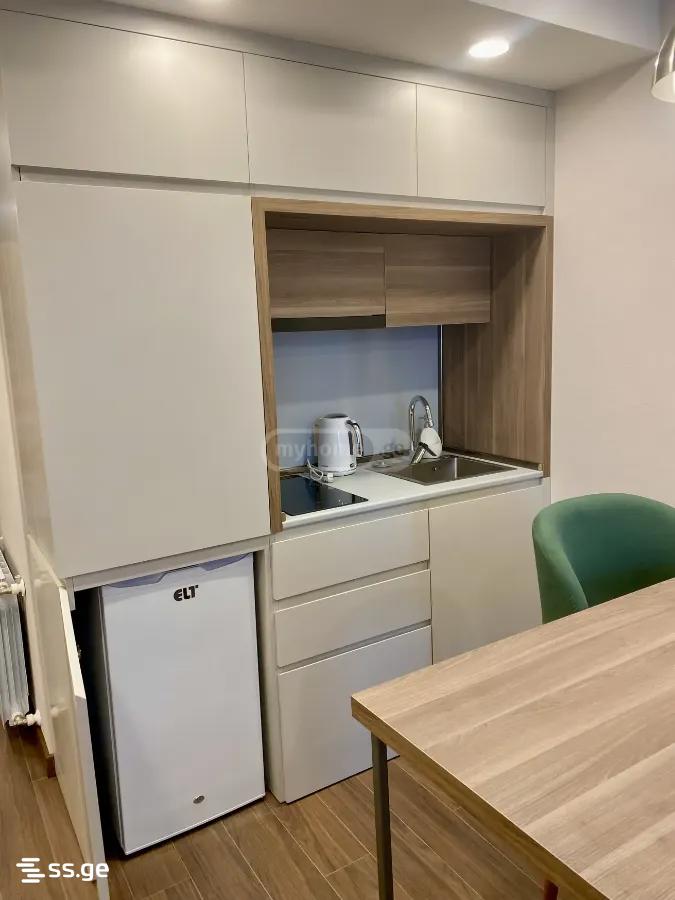 1 Room Apartment For Rent Aeroportis Ubani, In Batumi view 13