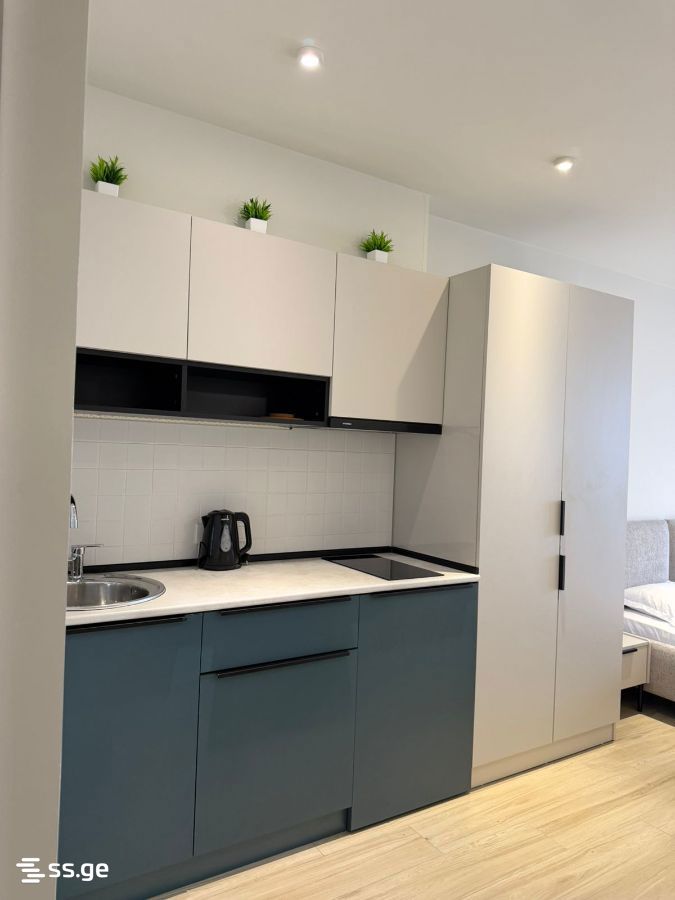 1 Room Apartment For Rent In Old Batumi District, In Batumi view 28