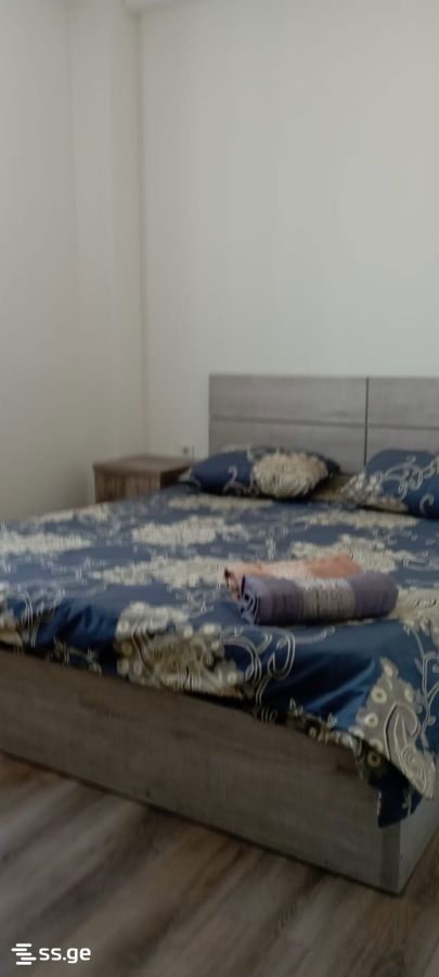 2 Room Flat Daily Rent. Didube view 9