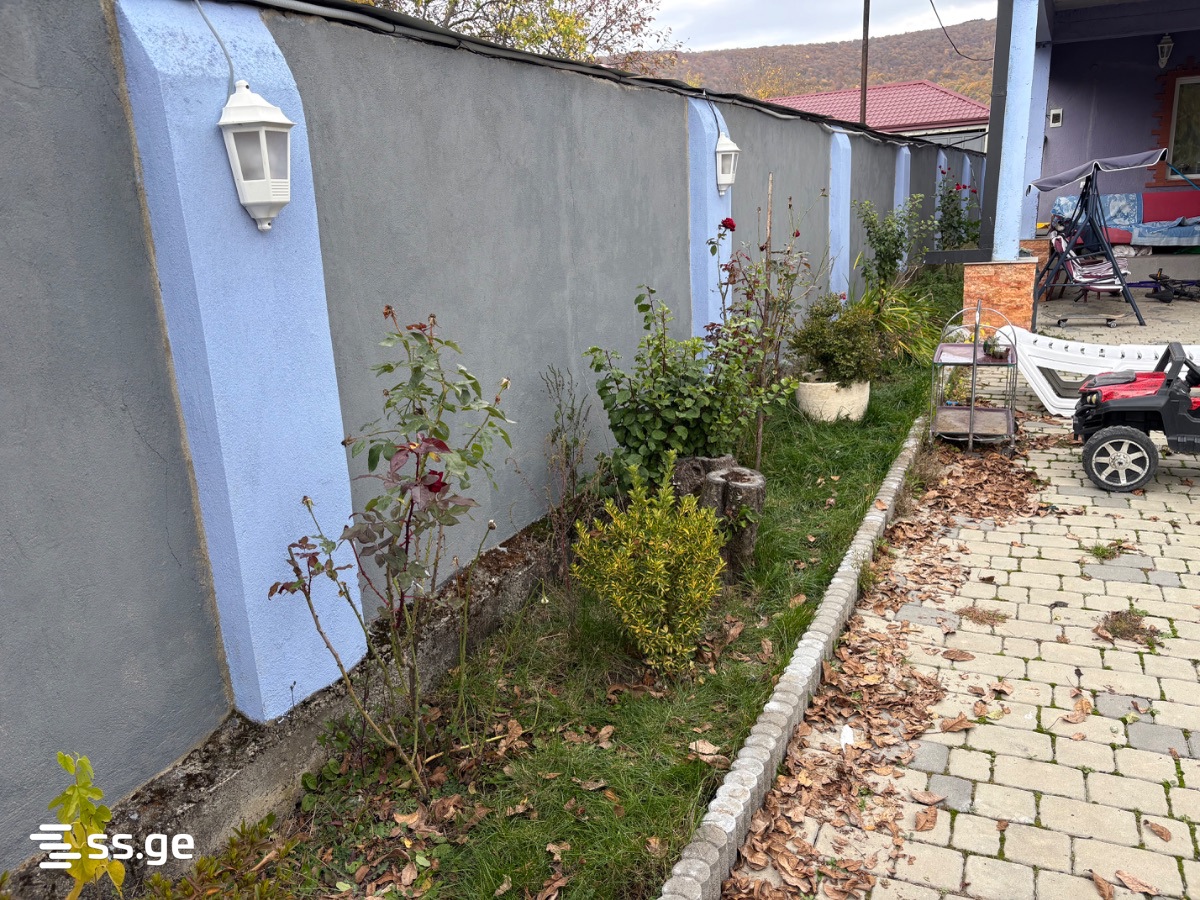 5 Room Private House Daily Rent. Tianeti view 10