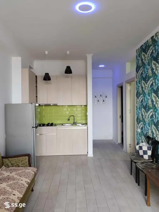 3 Room Apartment For Rent In Tabakhmela view 9