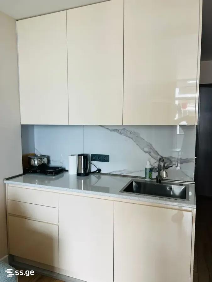 1 Room Apartment For Rent In Tamar Settlement, In Batumi view 12