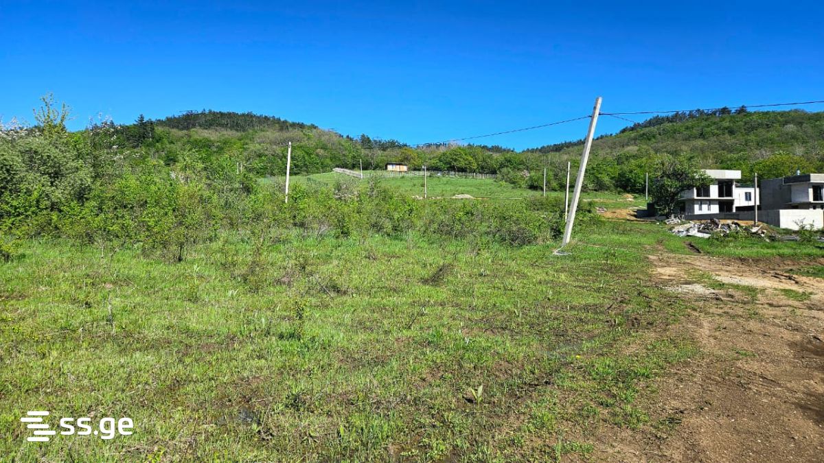 Продажа Agricultural Plot в In Orbeti, In Tetritskaro Municipality view 13