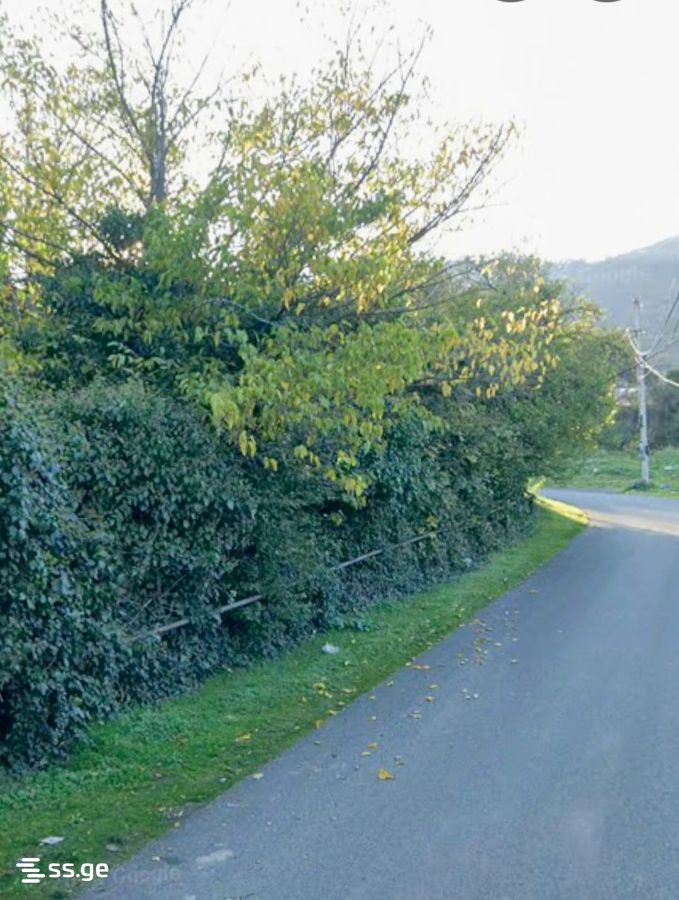 Land For Sale. Mtskheta view 2