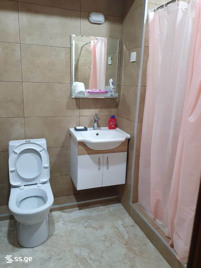 3 Room Flat For Rent. Rustavi view 6