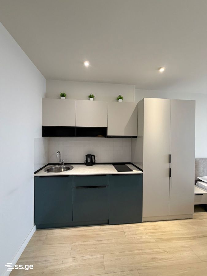1 Room Apartment For Rent In Old Batumi District, In Batumi view 31