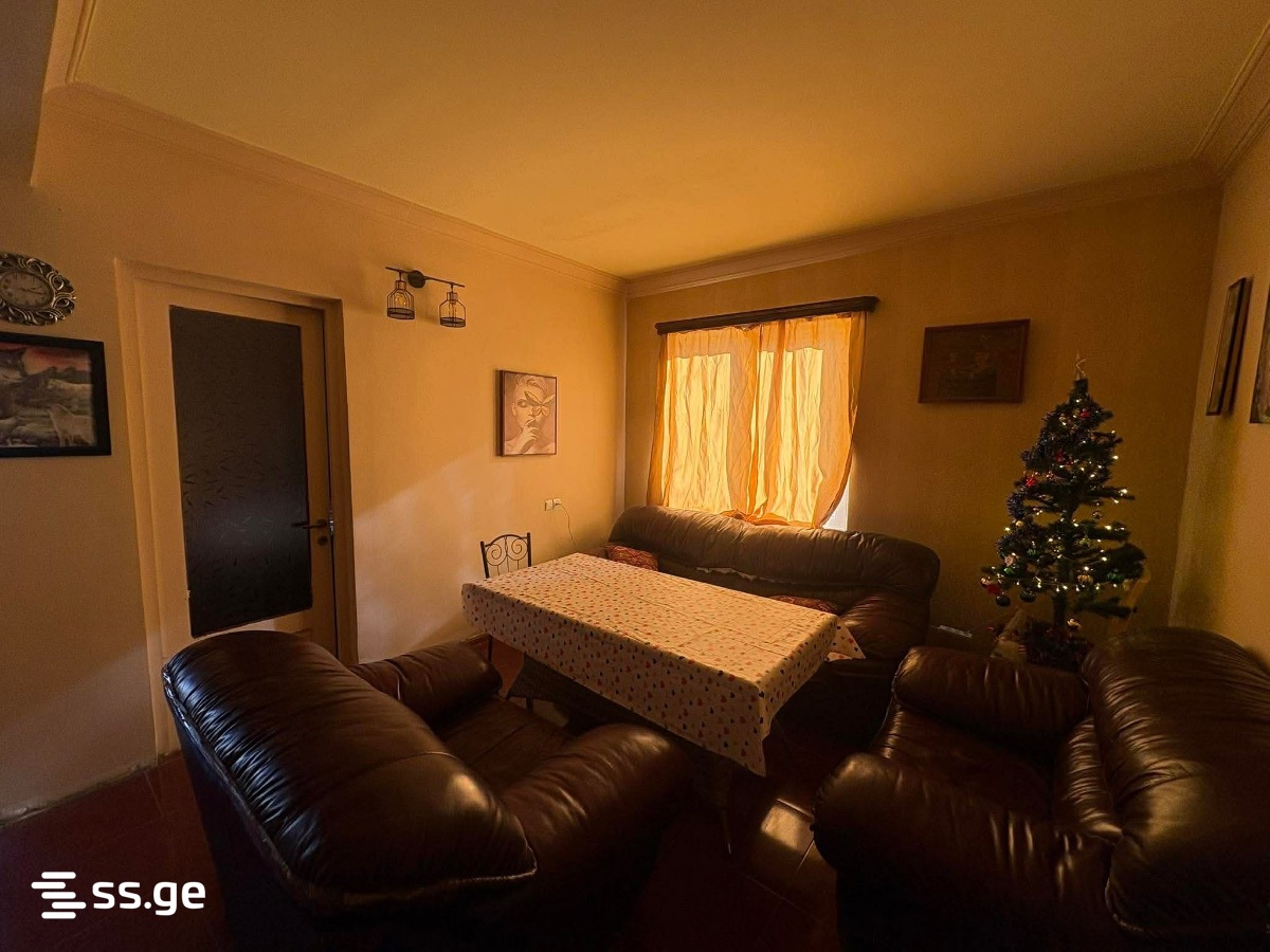 5 Room Private House Daily Rent. Tianeti view 3