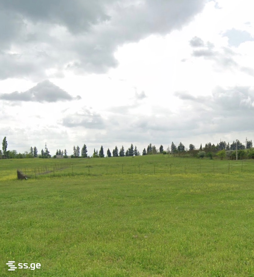 Land For Sale. Nasaguri view 4