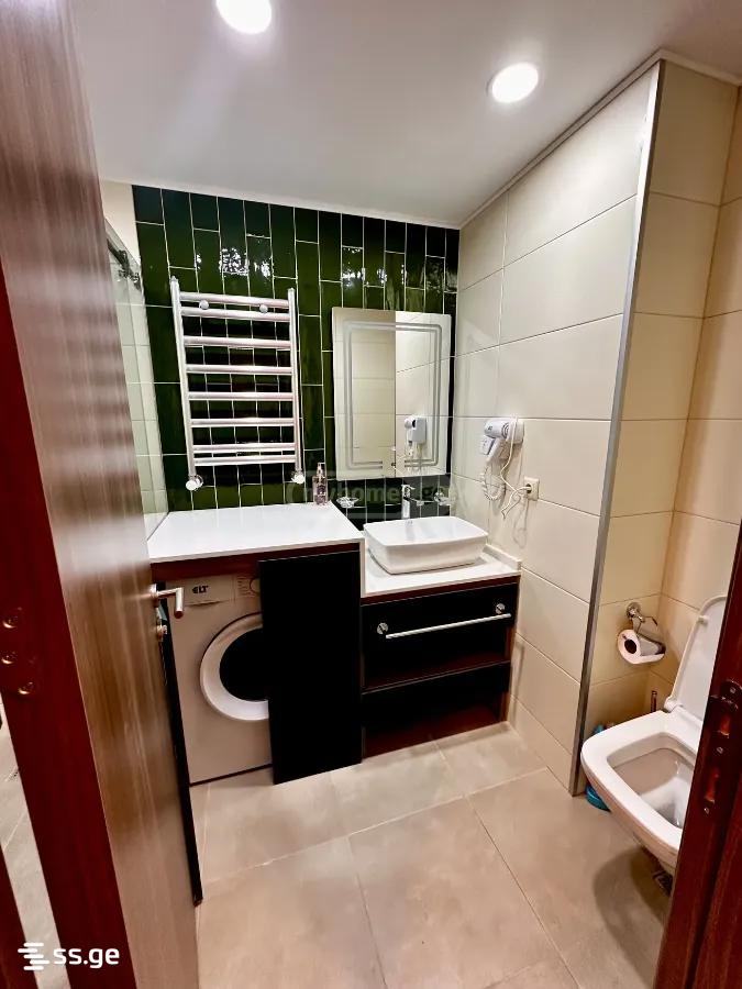 1 Room Apartment For Rent Aeroportis Ubani, In Batumi view 15