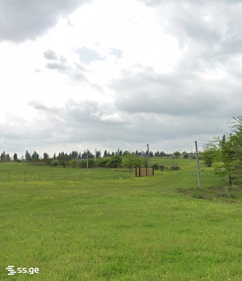 Land For Sale. Nasaguri view 3