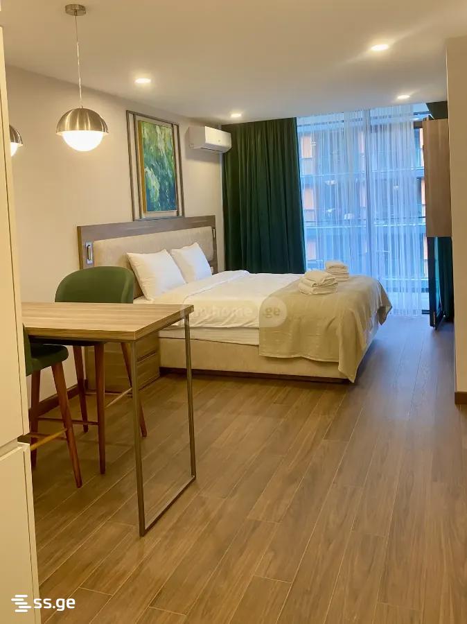 1 Room Apartment For Rent Aeroportis Ubani, In Batumi view 12