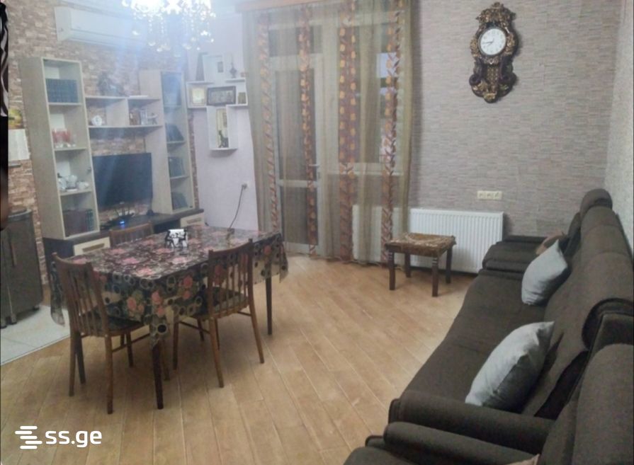 2 Room Apartment For Rent In Zugdidi view 14