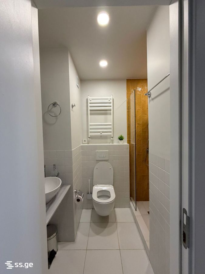1 Room Apartment For Rent In Old Batumi District, In Batumi view 26