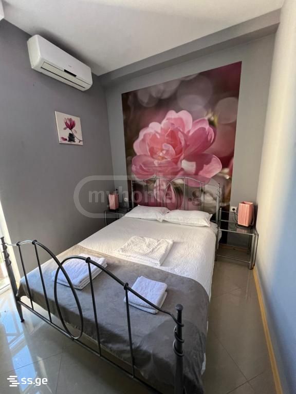 10 Room Hotel For Rent. Chugureti view 4