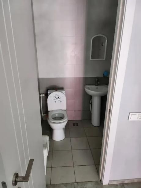 https://static.ss.ge/20260913/0_8a75515a-37b2-4315-99dd-e5c46b6f66ff_Thumb.jpg
