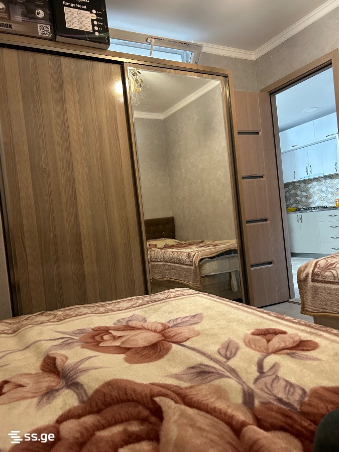 3 Room Apartment Daily Rent Aeroportis Ubani, In Batumi view 25