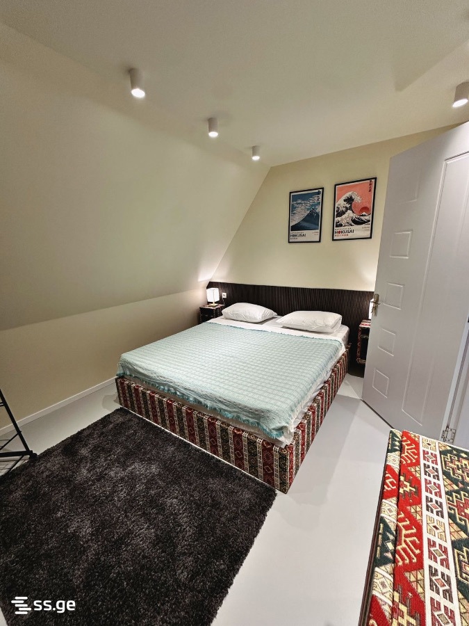 5 Room Private House Daily Rent. Bazaleti view 68