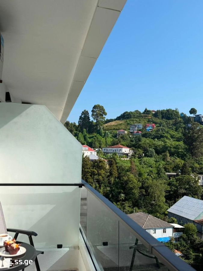 1 Room Flat For Rent. Makhindjauri view 5