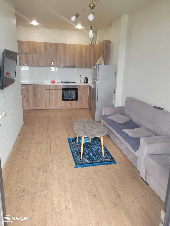 2 Room Flat Daily Rent. Didi Digomi view 1