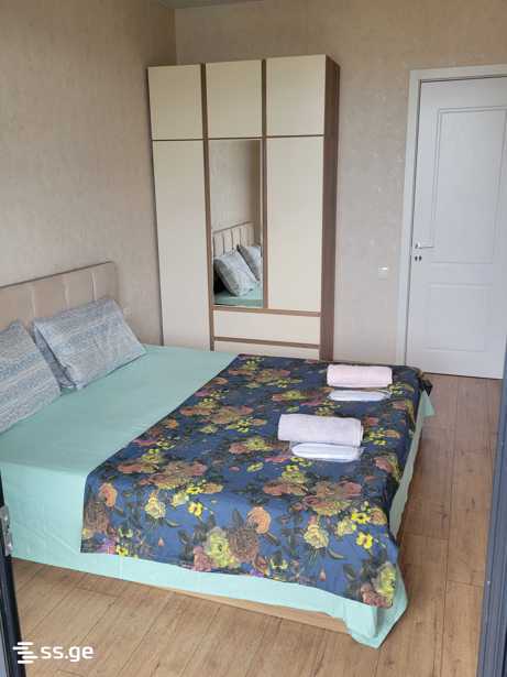 2 Room Flat Daily Rent. Didi Digomi view 3