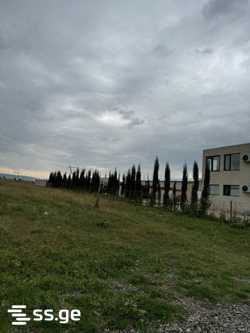 Land For Rent. Mtskheta view 3