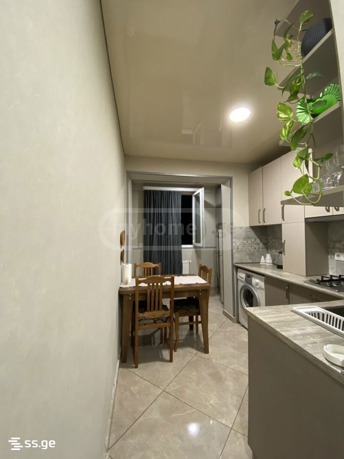 2 Room Flat Daily Rent. Chugureti view 5