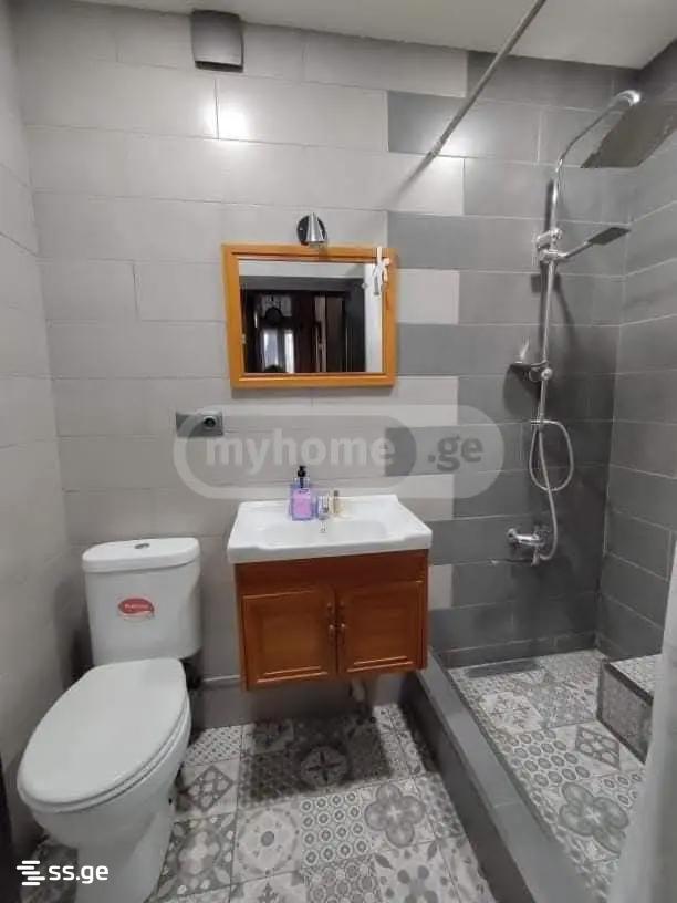 2 Room Flat Daily Rent. Chugureti view 5