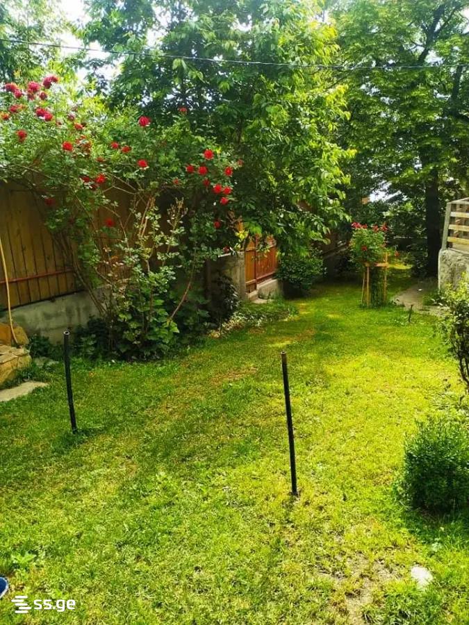 4 Room Private House Daily Rent. Mtatsminda view 8