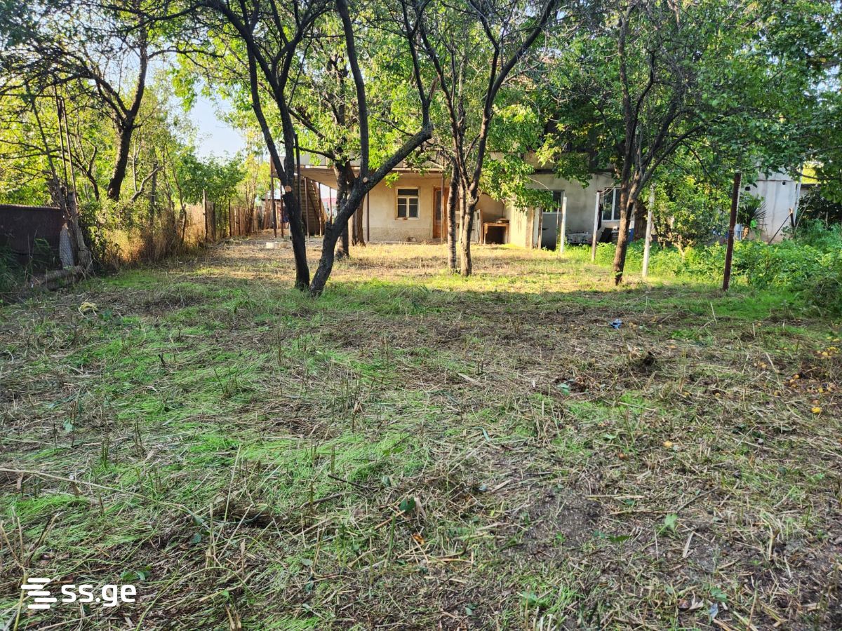 Private House For Sale. Mukhrani view 2