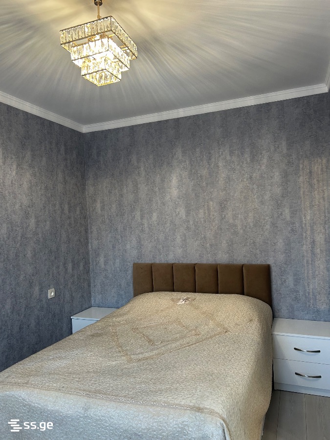 3 Room Apartment Daily Rent Aeroportis Ubani, In Batumi view 21