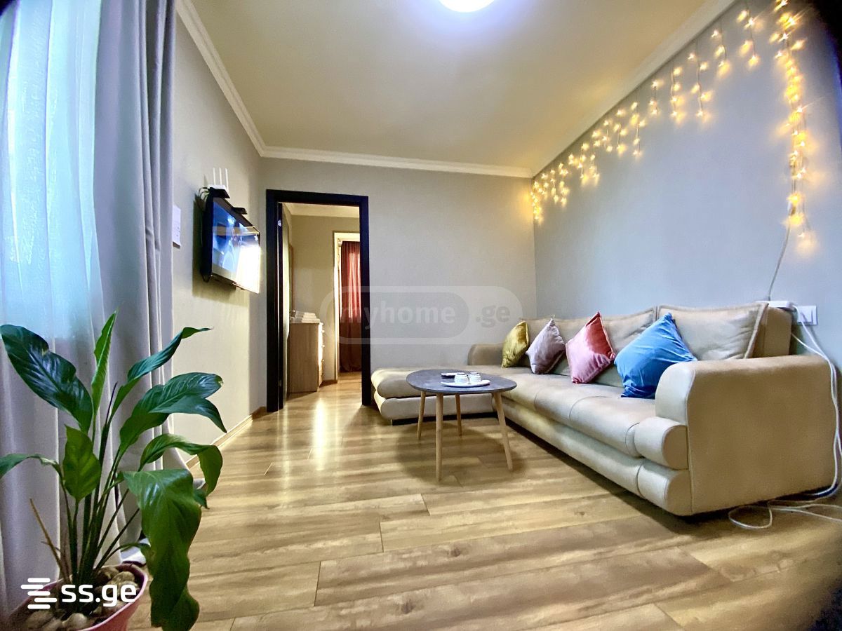 2 Room Flat Daily Rent. Chugureti view 1