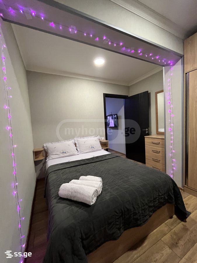 2 Room Flat Daily Rent. Chugureti view 4