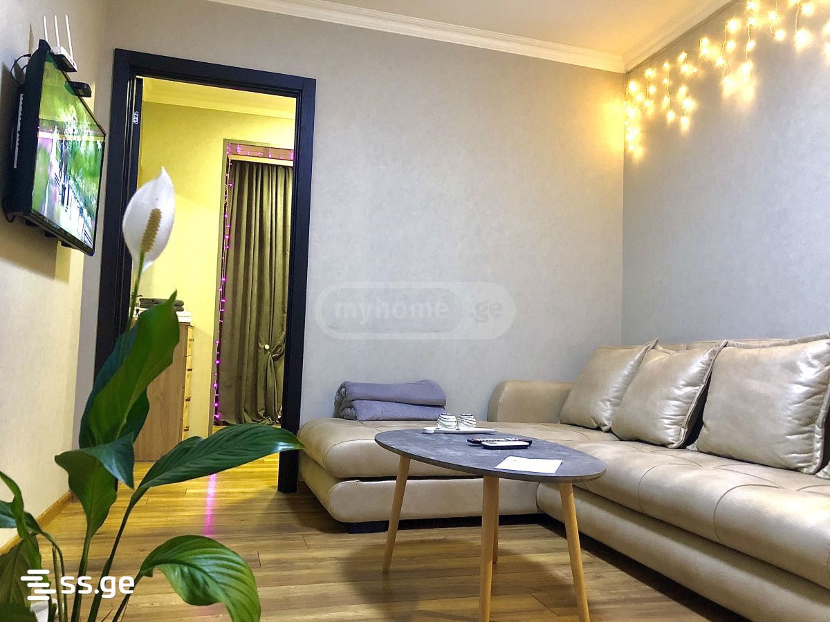 2 Room Flat Daily Rent. Chugureti view 2