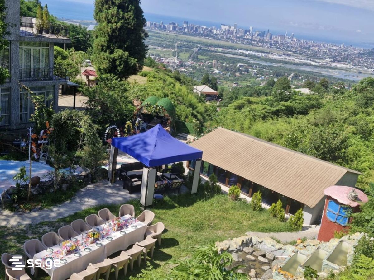 2 Room Summer Cottage Daily Rent. Akhalsopeli view 15