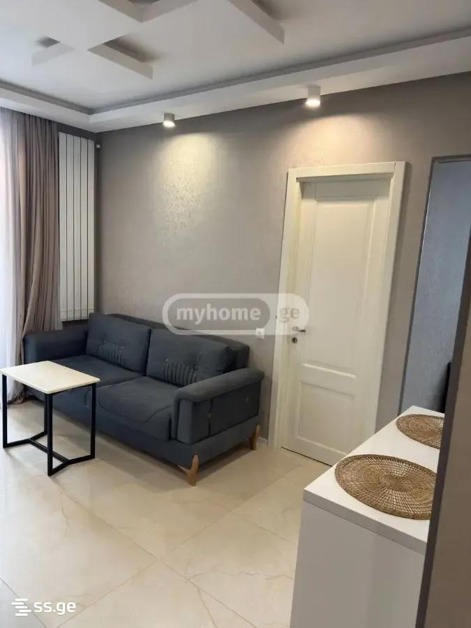 2 Room Apartment For Rent Aeroportis Ubani, In Batumi view 15