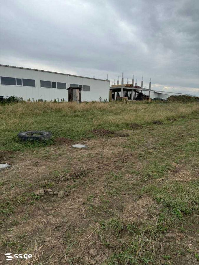 Land For Rent. Mtskheta view 1