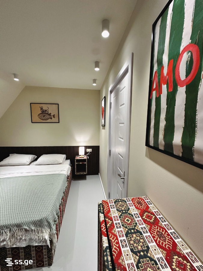 5 Room Private House Daily Rent. Bazaleti view 65
