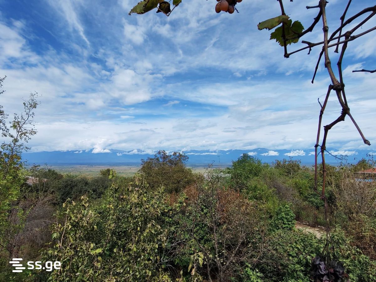 5 Room Private House For Sale view 2