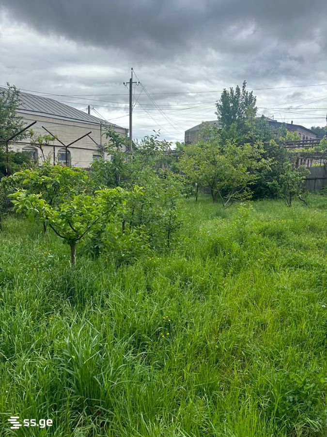 Land For Rent. Tserovani view 1