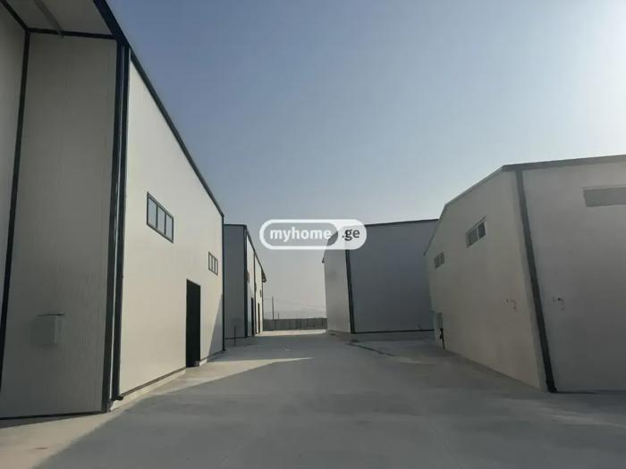 https://static.ss.ge/20260914/0_1d595419-a026-42d8-9bfe-c406eb3cb024_Thumb.jpg