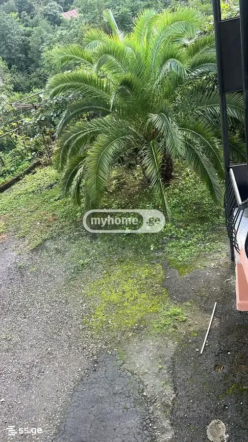 4 Room Private House For Rent. Batumi view 5
