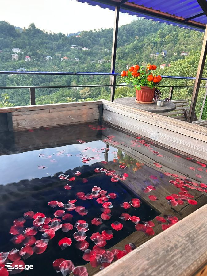 3 Room Private House Daily Rent. Batumi view 14