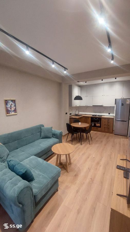2 Room Flat Daily Rent. Didube view 2