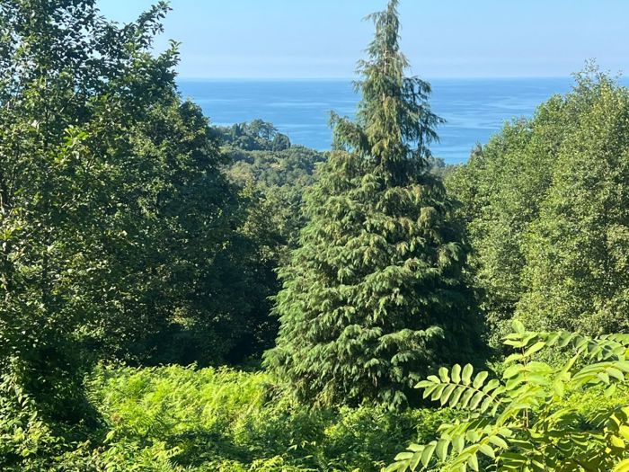 https://static.ss.ge/20260914/10_c01f9df7-d7f9-4c83-80fb-1f6416e6b72a_Thumb.jpg