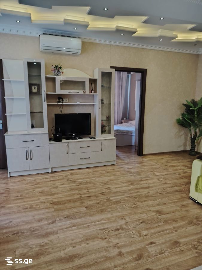 2 Room Flat Daily Rent. Didube view 7